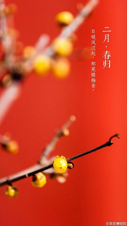 #紫禁城岁时#岁月有着不动声色的力量，推...