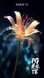 Ai美术馆｜AI绘画｜数字花卉