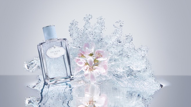 PRADA - OFFICIAL WEB...