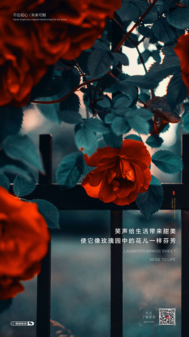 朋友圈配图
