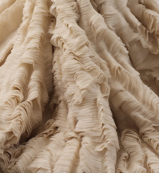 Oyster Dress (Detail...