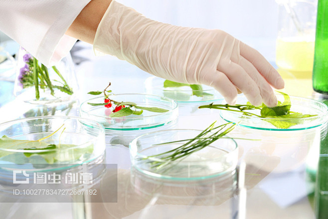植物提取 - 搜索结果 - 图虫创意-全...