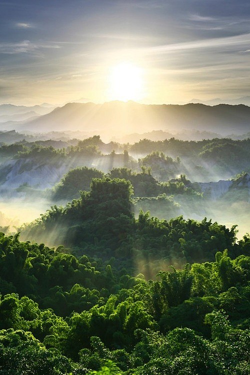风景壁纸阳光自然