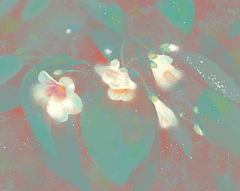 白無常采集到插画师Cicy_J