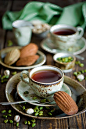 Tea and chocolate pistachio madeleines.