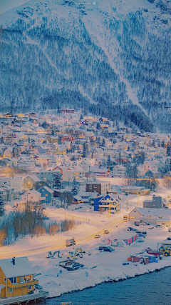 西兰花_开采集到【冰雪景】