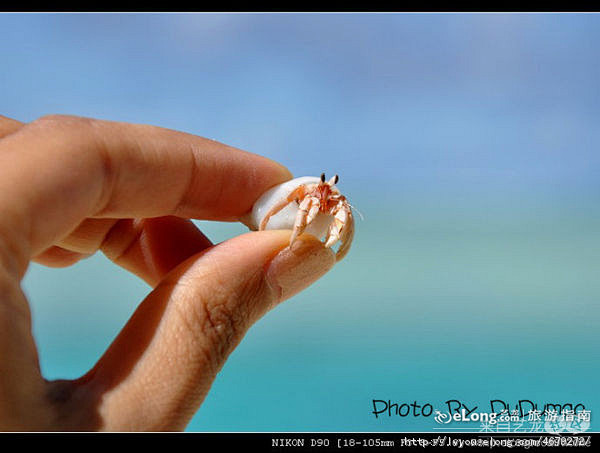 太阳岛:2010五月马尔代夫蜜月旅行·寄...