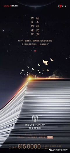 allen最初采集到书的形式