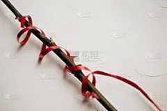 仅一朵花,纹理,荆棘,背景,艾滋病警示丝带,灰膏,单茎玫瑰,白色,留白,玫瑰