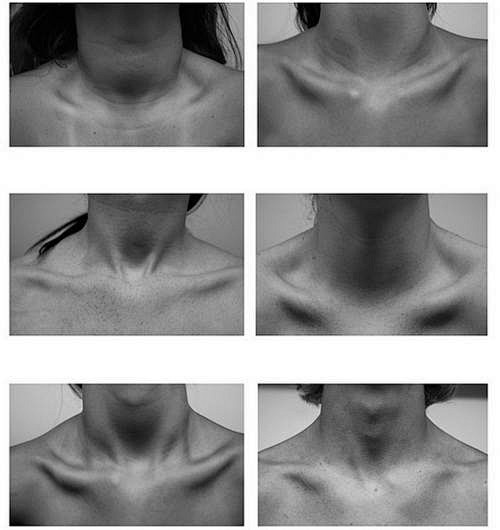 anatomy: neck refere...
