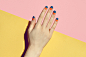 Paintbox : Branding, art direction and website design for Paintbox, a modern manicure studio in New York offering classic manicures and a curated selection of nail art.