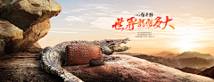 或许e采集到banner