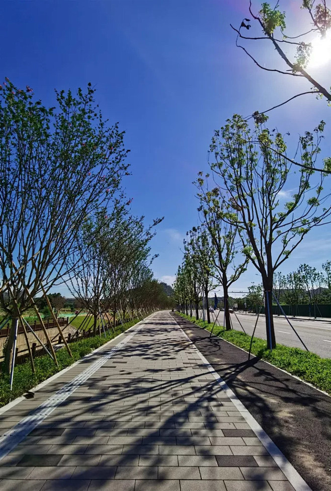 鱼跃南北—深圳光明中大附七周边景观 / ...