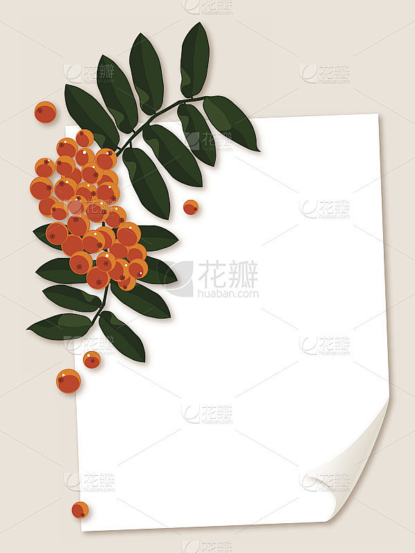 白色的纸与花梨花浆果枝。