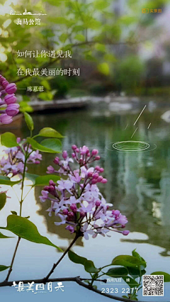 丁丁历险记11采集到节气