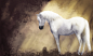 Horse Heaven