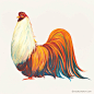 Year of the Rooster - Vietnam : Year of the Rooster, various illustrations made by 50 Vietnamese artists in Vietnam