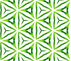 绿色万花筒无缝图案。手绘佤邦