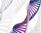 紫色螺旋基因海报背景