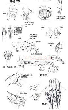 西于子采集到绘画方面素材