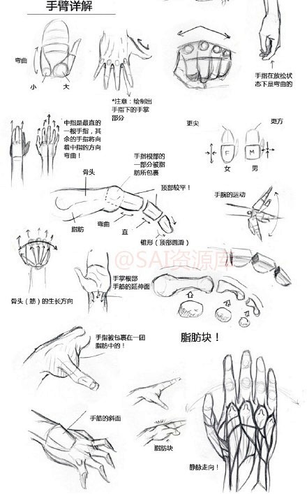 #SAI资源库# 动漫人物的全面绘画参考...