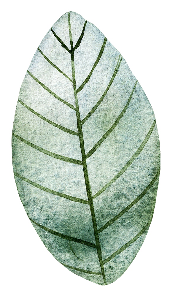 [ 乐分享 ] PNG植物素材 www....