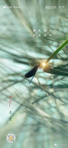 杀死所有ae采集到节气
