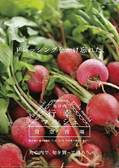 Summer柒7采集到版设设计