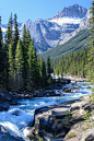 Mystia River, Banff National Park, Alberta Canyon | Flickr - Photo Sharing! This River and Canyon were one of the prettiest things I saw out West!!