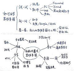 yinyin5366采集到思维导图