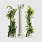 Set of Greek columns with ivy isolated on transparent background