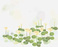 手绘荷花高清素材 古朴样式 图片 小清新图片 手绘花卉装饰 旅游节海报 欧式装饰 欧式边框 素材 纹样 花纹 免抠png 设计图片 免费下载