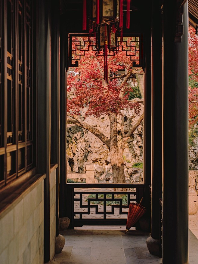 热门 - 热门微博 - 微博