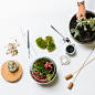 Terrarium Workshop Gift Voucher : Leafage Terrarium Workshop & Prosecco Gift Voucher   With Kay   Date:  We will email the recipient the  online gift voucher . To book your preference date, simply email us back at  theleafage@gmail.com    Valid d