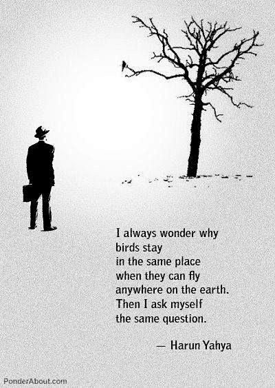 "I always wonder why...