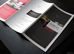 Jonathan-Wu采集到Brochure Design