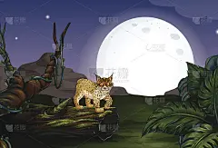 猞猁和森林