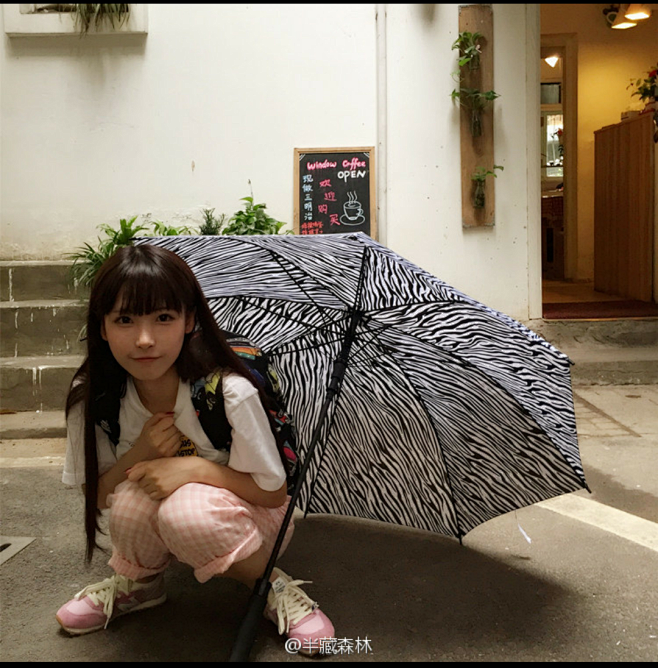 半藏森林胡文婕