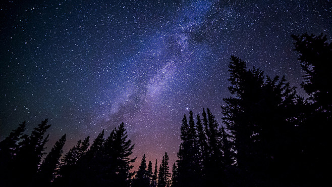 松林 星空 银河 唯美_米洛图片#米洛图...