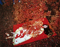 SolaSisyphe采集到Yoshihiro Tatsu