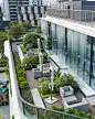 屋顶花园