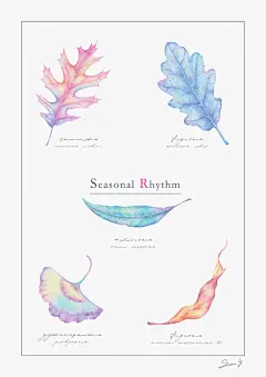 手绘 水彩 星空 彩虹荧光渐变 树叶 叶子枫叶落叶  插画 