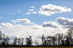 树木 壁纸4K 4K壁纸1920X1080 酷背景 云 笔记本电脑壁纸