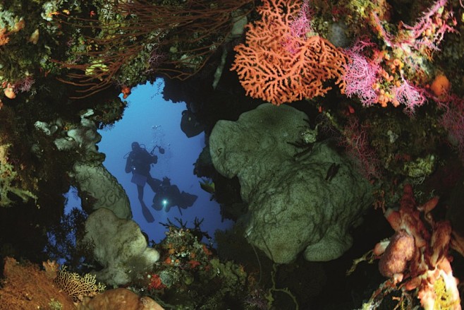 印尼美娜多潜水记：漫游斑斓如梦的海底世界...