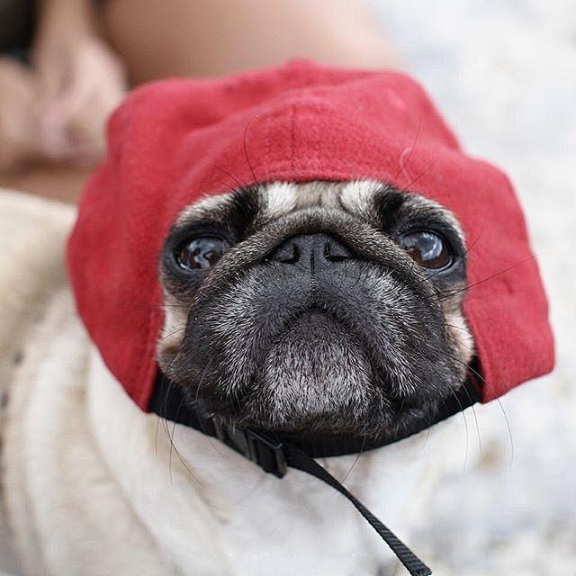 看我幽怨的小眼神