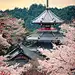 travelingcolors:

Kinpusenji pagoda, Mount Yoshino | Japan (by Rickuz)
