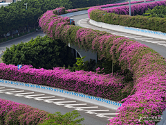 一只红鲸鱼-采集到道路景观/沥青路