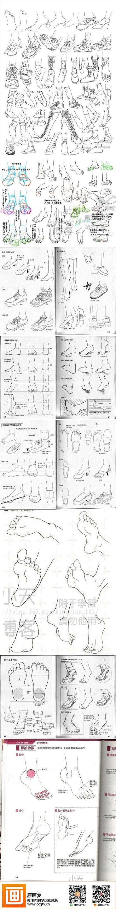 人体结构之脚的绘画教程~需要的同学赶紧抱...