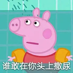 佩琪是一只非常可爱的小猪，她今年5岁了，喜欢她就取走关于她的表情包吧(づ′▽`)づ ​ ​​​​