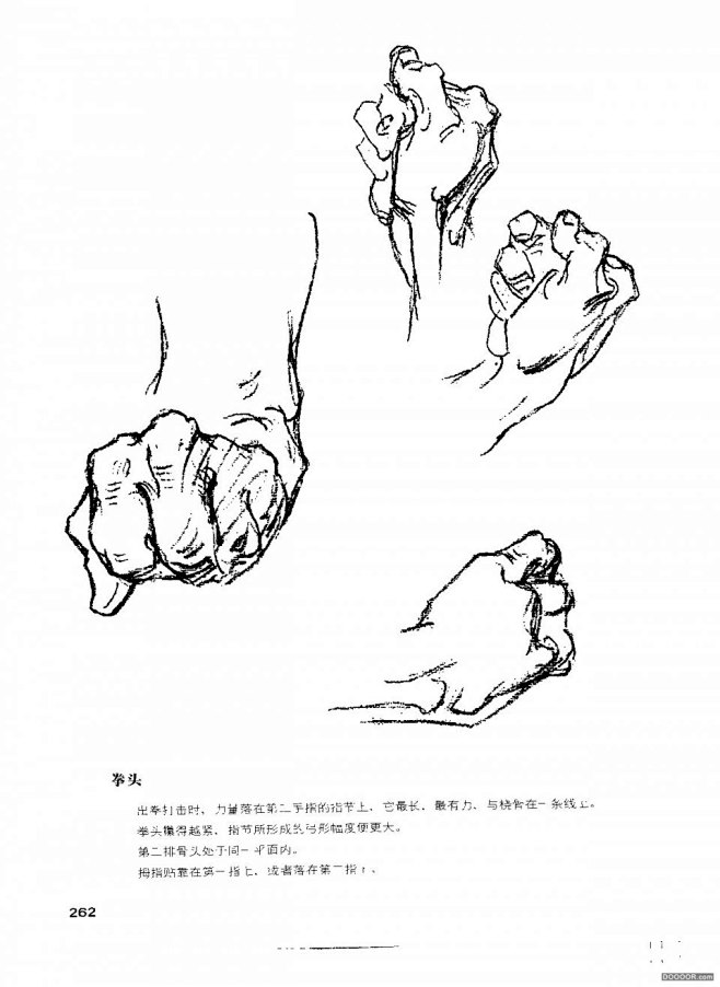 伯里曼人体结构绘画 (266).jpg